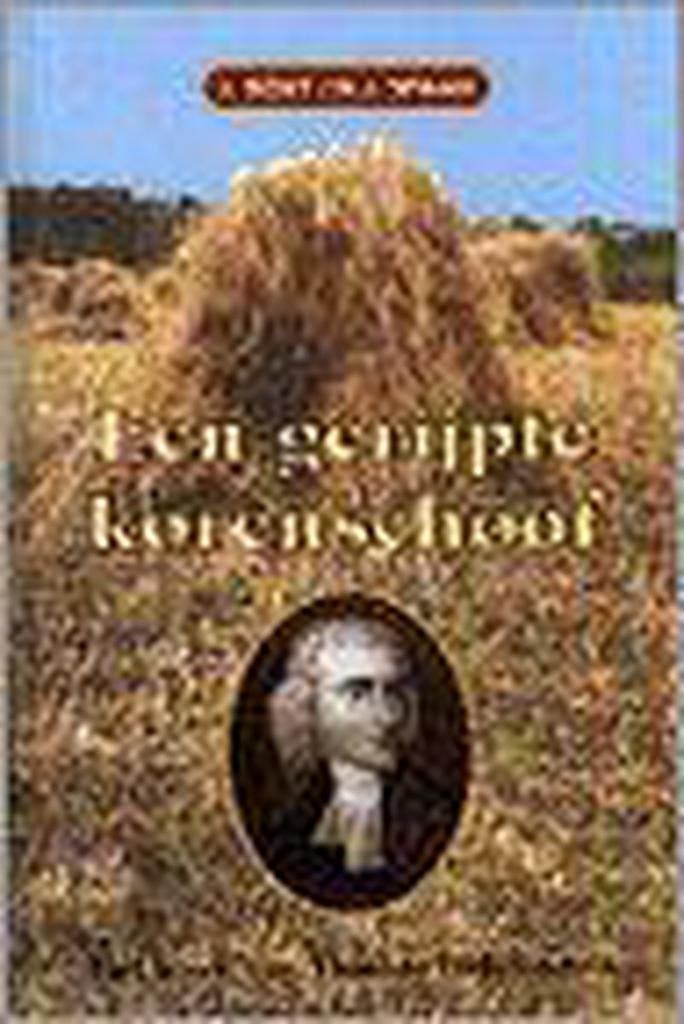 Een gerijpte korenschoof 9789033112805 J. Bout, Boeken, Geschiedenis | Wereld, Zo goed als nieuw, Verzenden