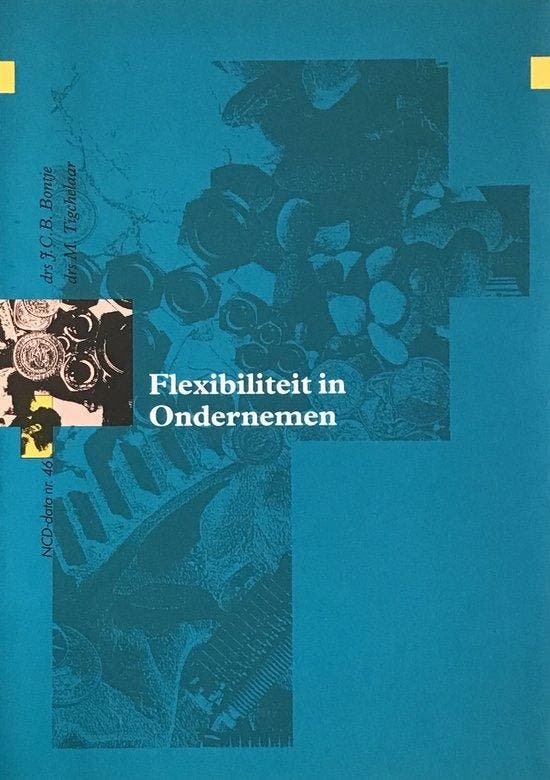 Flexibiliteit in ondernemen / NCD-Data / 46 9789074786010, Livres, Livres Autre, Envoi