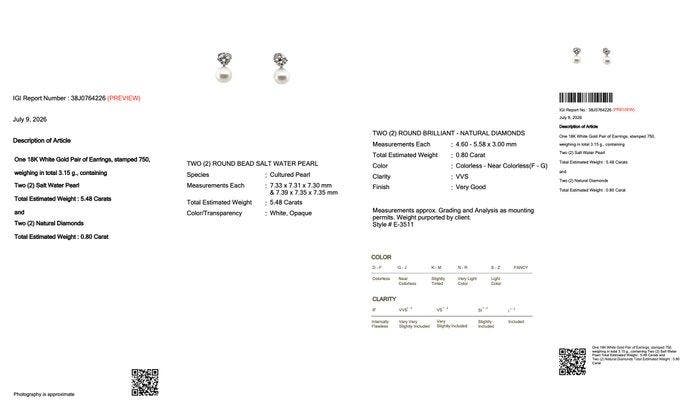 Zonder minimumprijs - Oorbellen - 18 karaat Witgoud -, Bijoux, Sacs & Beauté, Boucles d'oreilles