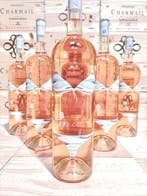 2023 Domaine Dom Brial Rozy - Languedoc - 6 Magnums (1,5 l), Nieuw