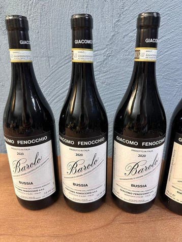 2020 Giacomo Fenocchio Bussia - Barolo - 6 Flessen (0.75, Nieuw