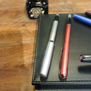 Diferentes marcas - Vulpen, Verzamelen, Nieuw