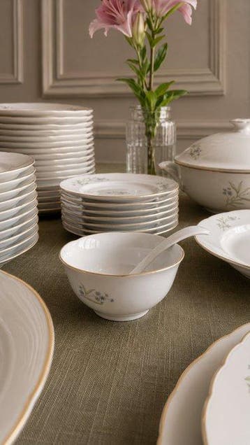 Richard Ginori - Tafelservies (56) - Porselein - Zachte