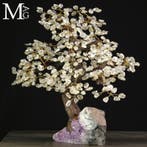 Een exclusieve collectie van unieke en verfijnde stukken, Verzamelen