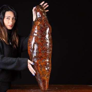 vormgegeven als een vlindercocon Indrukwekkende natuurlijke, Verzamelen