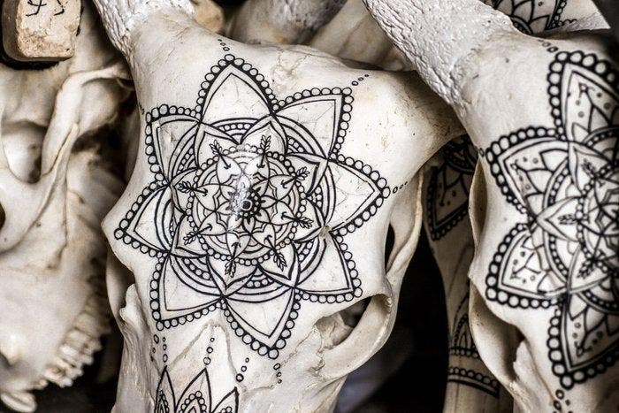 GEEN RESERVEPRIJS - Grote zwarte stierenkop met snijwerk -, Antiek en Kunst, Curiosa en Brocante