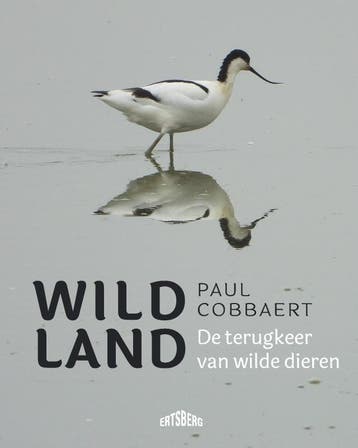 Wild Land | Paul Cobbaert | Nieuw, Verzenden, Nieuw, Paul Cobbaert