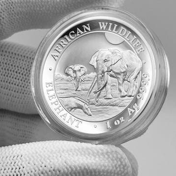 Somalië. 100 Shilling 2026 – Elephant – High Relief – 1 oz, Postzegels en Munten