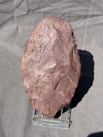 Paleolithisch kwartsiet / harde zandsteen Vuistbijl