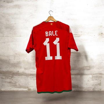 Wales national football team - Wereldkampioenschap Voetbal -, Nieuw