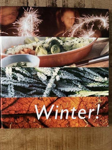 Winter Sinterklaas Kerst Oud En Nieuw - Kragten, Boeken, Verzenden, Nieuw