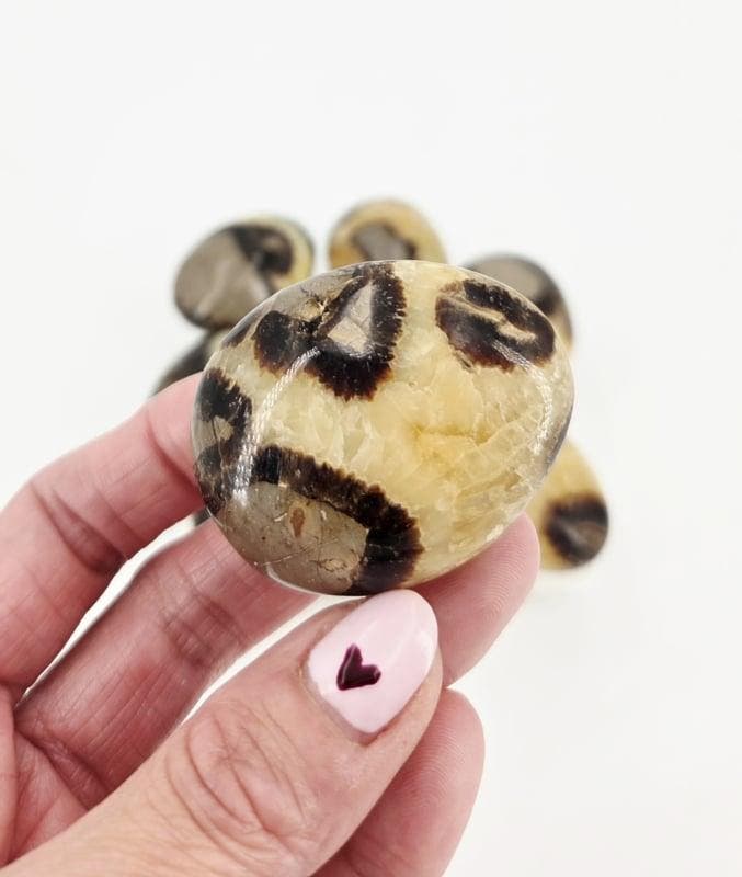 Septarie Handsteen/Broekzaksteen (per stuk), Handtassen en Accessoires, Edelstenen, Ophalen of Verzenden