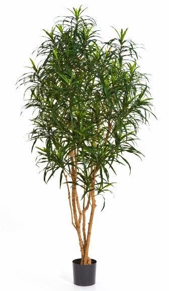 Kunstplant Dracaena Anita 150 cm, Verzenden