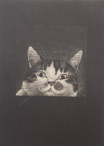 A Peeping Cat 2 - Emi Sato (b 1973) - Japan (Zonder