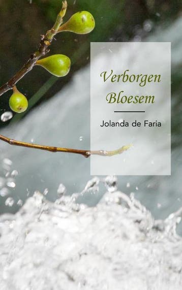 Verborgen Bloesem 9789402133325 Jolanda de Faria, Verzenden, Jolanda de Faria