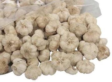 Beachfruit paras peepal mini pompoentjes gebleekt wit ca.