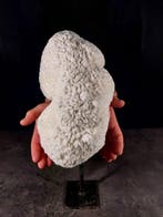 corallo kom Taxidermie volledige montage - Halomitra pileus, Nieuw