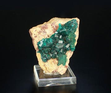 Pas de RP ! Dioptase Cristaux sur matrice - Hauteur : 44 mm, Collections
