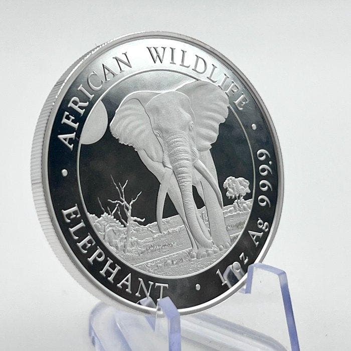 Somalië. 100 Shilling 2025 Wildlife Elephant Silver Coin, Postzegels en Munten, Munten | Europa | Niet-Euromunten