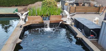 Speciale actieprijs! plantenfilters.makelijk te bestellen, Ophalen of Verzenden