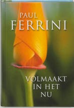 Volmaakt in het nu 9789020283716 Paul Ferrini, Verzenden, Zo goed als nieuw, Paul Ferrini