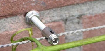 Plant Klimhulp kruisschroef Rvs Trellis 2mm, Verzenden, Nieuw