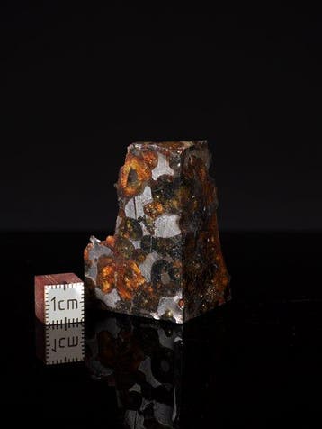 Sericho meteoriet Pallasiet - 50 g - (1), Verzamelen