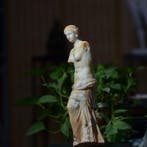 Beeld, Venus Broken Arm Sculpture - 30.5 cm - Hars