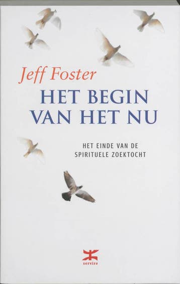 Het begin van het nu 9789021538839 J. Foster, Boeken, Verzenden, Gelezen, J. Foster