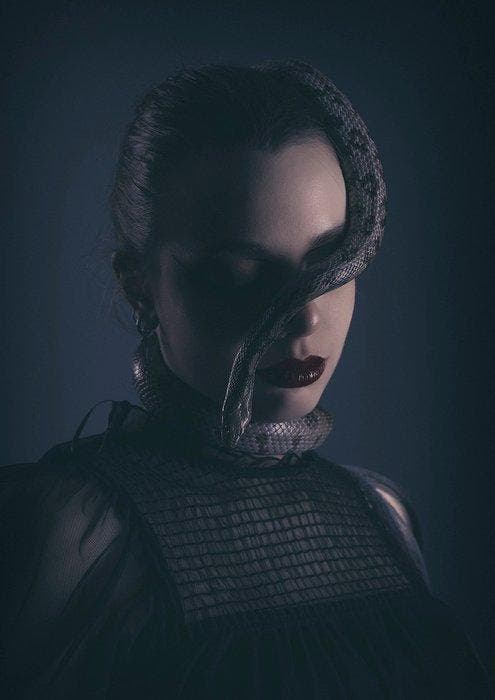 Cédric Brion - Ecailles, Antiquités & Art, Art | Objets design