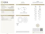 Ring - 18 karaat Witgoud - 1.26ct. tw. Diamant (Natuurlijk), Nieuw