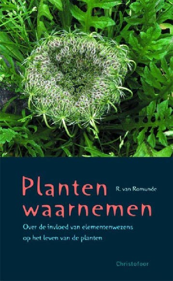 Planten waarnemen 9789060386026 R. van Romunde, Verzenden, Gelezen, R. van Romunde