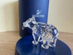 Swarovski - Figuur - Grizzly bear 243880 - Box + Certificate