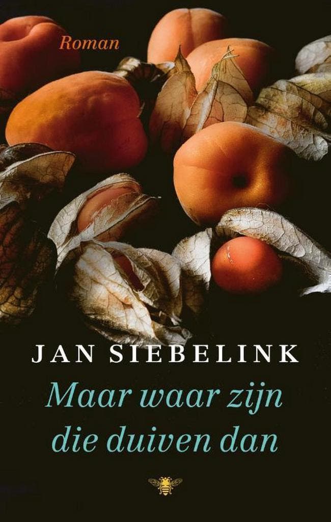 Maar waar zijn die duiven dan 9789403182902 Jan Siebelink, Boeken, Romans, Zo goed als nieuw, Verzenden