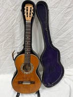 Ibanez Salvador - “Model French No. 37” - Raffaele Calace, Musique & Instruments