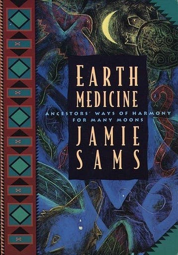 Earth Medicine 9780062510631 Jamie Sams, Verzenden, Gelezen, Jamie Sams