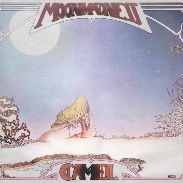 Camel - Moonmadness, CD & DVD, Vinyles | Pop, Envoi