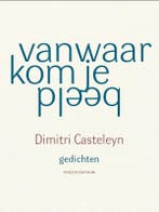 Vanwaar kom je beeld 9789056550769 Dimitri Casteleyn, Boeken, Verzenden, Zo goed als nieuw, Dimitri Casteleyn