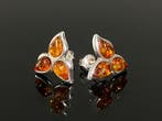 Botanische romantiek • Vintage baltisch amber bladvormige, Verzamelen