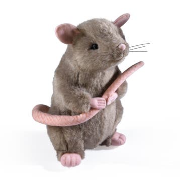 Harry Potter Knuffel Scabbers 23 cm, Ophalen of Verzenden, Nieuw