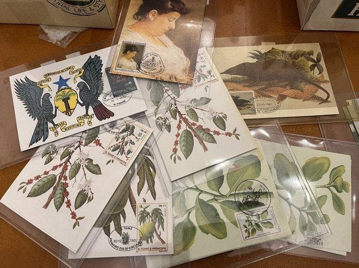 Wereld - ST THOMAS Planten en Dieren Kunstkaarten Grote, Timbres & Monnaies, Timbres | Amérique
