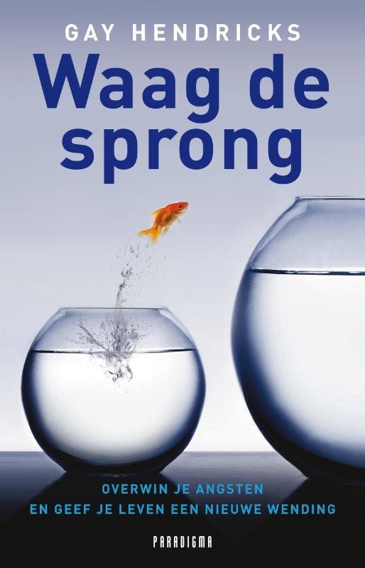 Waag de sprong 9789049960261 Gay Hendricks, Livres, Psychologie, Envoi