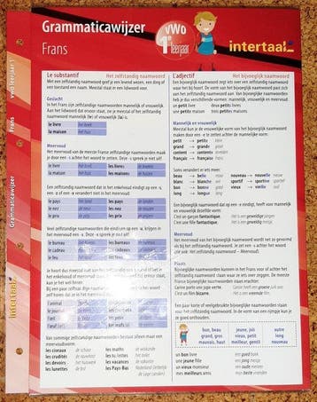 Grammaticawijzer Frans VWO 1 uitklapkaart 9789460308963, Verzenden, Intertaal Jeanine Ross