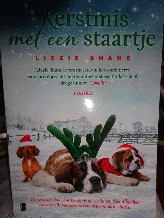 Kerstmis met een Staartje Lizzie Shane 9789049202958, Boeken, Overige Boeken, Zo goed als nieuw, Verzenden