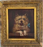 British school (XlX) - Study of a Yorkshire terrier