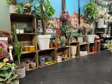 Mooie oude/vintage kisten-21 stuks 169€ inclusief levering!, Verzenden