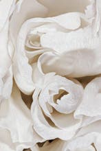 Inna Etuvgi - Creamy Passion - Catawiki Special Edition -