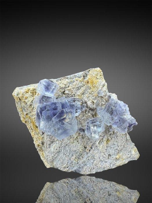 fluoriet viola Mineralencollectie - Hoogte: 7.8 cm -, Verzamelen, Mineralen en Fossielen