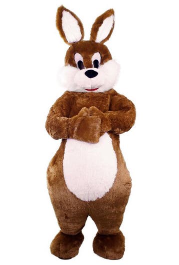 Mascotte Kostuum Konijn Bruin Groot S M L XL Paashaas Pak Pl, Ophalen of Verzenden, Nieuw