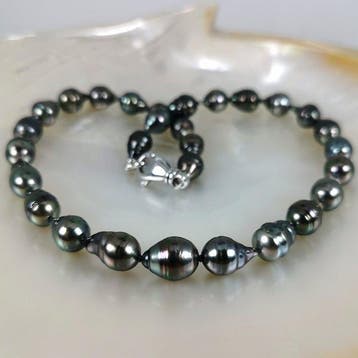 Halsketting Zilver Parel - Tahiti BQ Ø 9,3×11,12 mm, Nieuw